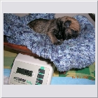 DSCN2329.JPG