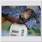 DSCN2335.JPG