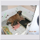 DSCN2403.JPG