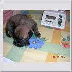 DSCN2422.JPG
