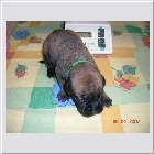 DSCN2423.JPG