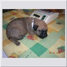 DSCN2438.JPG