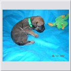 DSCN2941.JPG