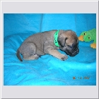 DSCN3081.JPG
