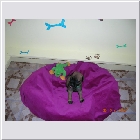 DSCN3167.JPG