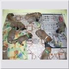 DSCN3429.JPG