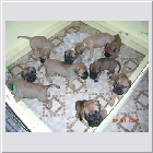 DSCN3818.jpg