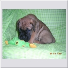 DSCN3970.JPG