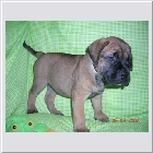 DSCN3996.JPG