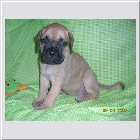 DSCN4058.JPG