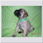 DSCN4079.JPG