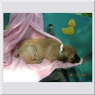 DSCN4208.JPG