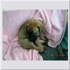 DSCN4223.JPG
