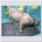 DSCN4244.JPG