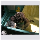 DSCN4257.JPG