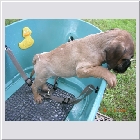 DSCN4265.JPG