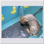 DSCN4277.JPG