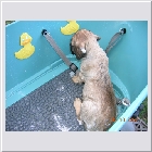 DSCN4278.JPG