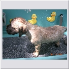 DSCN4290.JPG