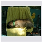 DSCN4295.JPG