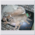 DSCN4305.JPG