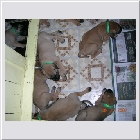 DSCN4307.JPG