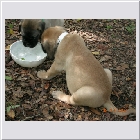 DSCN4382.JPG