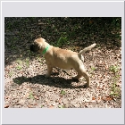 DSCN4493.JPG