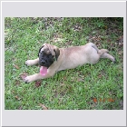DSCN4530.JPG