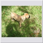 DSCN4532.JPG