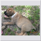 DSCN4543.JPG