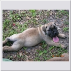 DSCN4551.JPG