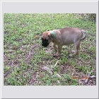 DSCN4556.JPG