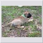 DSCN4557.JPG