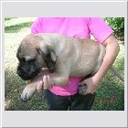 DSCN4613.JPG