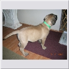 DSCN4688.JPG