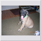 DSCN4702.JPG