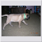 DSCN4709.JPG