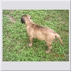 DSCN4847.JPG