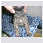 DSCN4995.JPG
