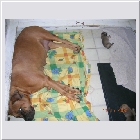 DSCN5003.JPG
