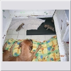 DSCN5004.JPG