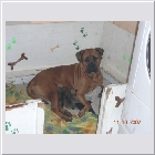 DSCN5008.JPG