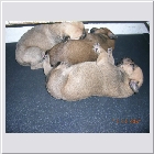 DSCN5026.JPG