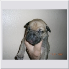 DSCN5060.JPG