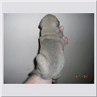 DSCN5120.JPG