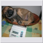 DSCN5122.JPG
