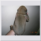 DSCN5132.JPG