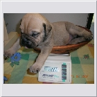 DSCN5137.JPG