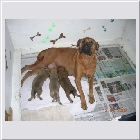DSCN5150.JPG